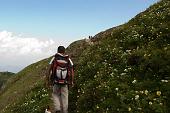 015 Il sentiero fiorito dai laghetti verso il rifugio Monte Avaro
